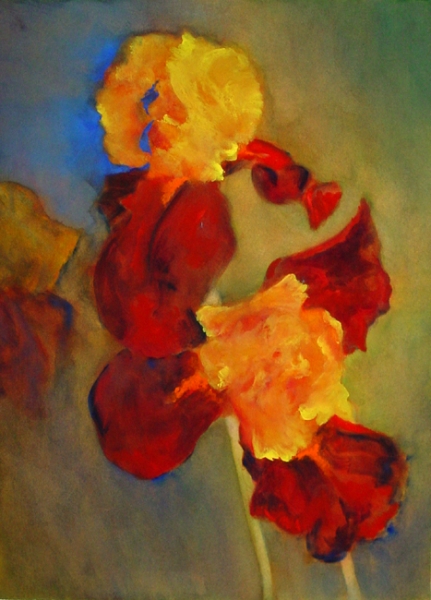 Red & Yellow Iris by Calvin deRuyter