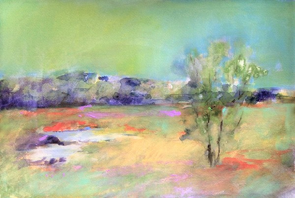 Marshland by Calvin deRuyter